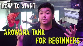 HOW TO START AROWANA TANK  BEGINNERS GUIDE [upl. by Anirtek]