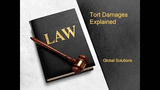 Tort Damages Explained [upl. by Oca]