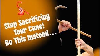 Cane Self Defense Stop Sacrificing Your Cane Do This Instead [upl. by Grissom785]