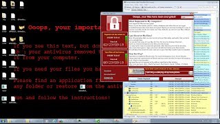 Ransomware Analysis 1  WannaCry [upl. by Ynohtna]