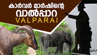 പൊള്ളാച്ചിയില്‍ നിന്നും കാര്‍വര്‍ മാര്‍ഷിന്റെ വാല്‍പ്പാറയിലേയ്ക്ക്‌  Road Trip Pollachi Valparai [upl. by Odarnoc]