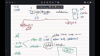 CVS biochemistry TAG metabolism [upl. by Ladew]