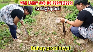 quotNAGLAGAY AKO FERTILZERSA AKING POP CORNProbinsya Vlog 334 Buhay Probinsya Updates  Erlyn Go TV [upl. by Xenia172]