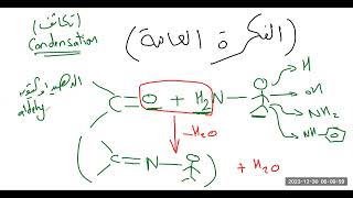 تفاعلات الألدهيدات والكيتونات مع مشتقات امونيا Reaction of aldehydes amp ketones with NH3 derivatives [upl. by Sheena54]