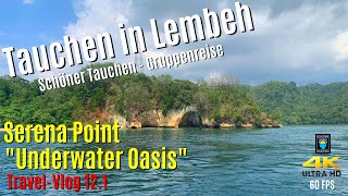 Tauchen in Lembeh  Serena Point quotUnderwater Oasisquot 4K60FPS 🏝 Sulawesi 2019 [upl. by Litman]