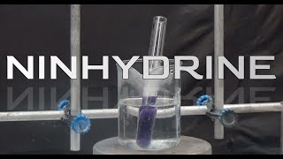 Ninhydrin synthesis Amino acid reagent [upl. by Attenehs]