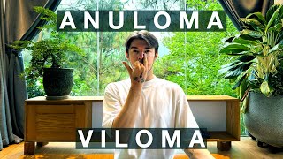 Anuloma Viloma Pranayama  Part 1  Balancing Breathwork  Trinitus Yoga [upl. by Keelin590]