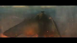 Mothra vs Rodan  Godzilla King of the Monsters [upl. by Doyle]