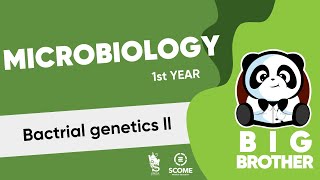 Bacteriology Bacterial Genetics II [upl. by Akimat]