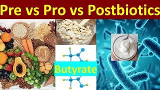 Cho Katsu 2 Pre Pro amp Postbiotics  The Gut Health Trinity [upl. by Cassell]