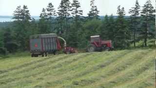 Silage 2012  Massey Ferguson tractors  1080p HD [upl. by Nadaha]