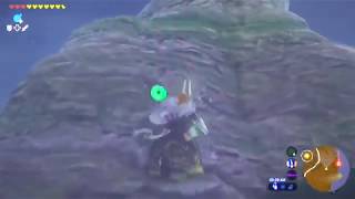 BotW089  Getting To Woodland Tower Made Easy  w Treasure amp Koroks [upl. by Gaul455]