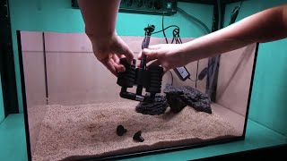 How To Set Up an Aquarium for Beginners How To Set Up Fish Tank [upl. by Hbahsur113]