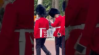 Guard nearly looses Bearskin hat 💂 [upl. by Aneen]