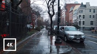 Light Rainfall Walk in Washington DC Rain and Umbrella Ambience Farragut West to Adams Morgan [upl. by Madlin]