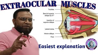 EXTRAOCULAR MUSCLES । Anatomy of muscles of eyeball with origin insertion nerve supply amp applied [upl. by Noj]