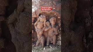 आपको इस मुर्ती में क्या दिख रहा हैंWadeshwarMandirAmbhaiancienthistory temple history ancient [upl. by Laurin116]