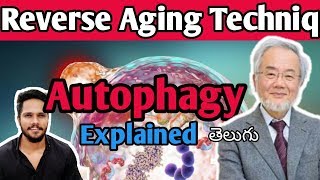 Anti Aging Techniq Autophagy explained in telugu  Telugu LYF [upl. by Nerrej]