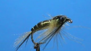 Fly Tying a Dragonfly Nymph with Jim Misiura [upl. by Nitsa10]