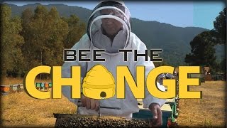 Bee the Change  Full Video [upl. by Brownson]