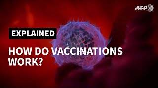 How do vaccines work  AFP [upl. by Nesta]