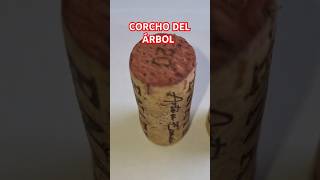 ¿SABES CUÁL ES DE UN MEJOR VINO vino corcho árbol [upl. by Annahsor]