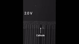 Photoelectrochemical ion concentration polarization [upl. by Kaylyn]