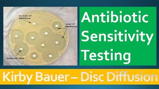 Kirby Bauer  Disc Diffusion Method for Antibiotic Susceptibility Testing [upl. by Petras]