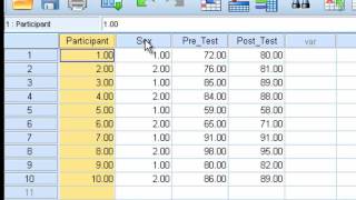 Paired Sample ttest [upl. by Melicent880]