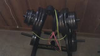 Gold’s Gym Weight Plate And Barbell Storage Rack Review [upl. by Essiralc]