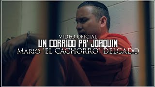 Mario quotEl Cachorroquot Delgado  Un Corrido Pa Joaquin Video Oficial [upl. by Nitaf]