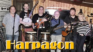 Country  Harpagon  Tennessee Waltz  cover  live [upl. by Eecram609]