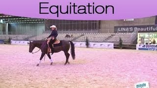 Tout savoir sur le pas le trot le galop en équitation [upl. by Macur541]