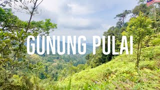 Mount Pulai  Gunung Pulai Recreational Forest  Gunung Pulai Hike [upl. by Theadora]