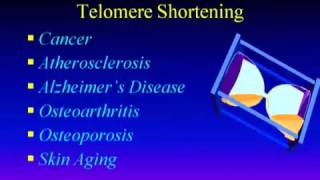 Dr Bill Andrews Explains TelomeresTelomerase [upl. by Licna387]