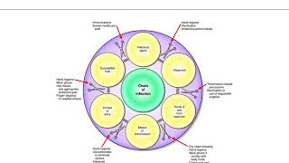 Ibda3  GR8  Biology  Antisepsis Asepsis Chemotherapy and Antibiotherapy [upl. by Affer297]