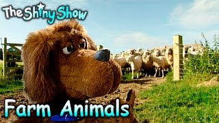 The Shiny Show  Farm Animals  S1E9 [upl. by Biddie529]