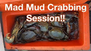 How to catch Mud Crabs after a big rain downpour on the Gold Coast Australia [upl. by Burgess]