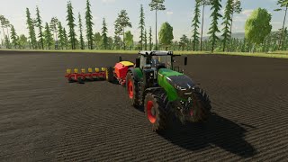 FS22 SEEDING COTTON AND SUNFLOWER LANDOWUNDA FARM [upl. by Malcom]