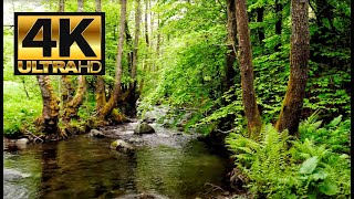 4K Video Ultra HD Природа 4 К Unbelievable Beauty [upl. by Ricki247]