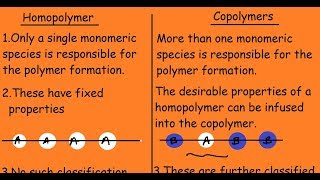 Homopolymer Vs Copolymer Differences [upl. by Ekaj737]