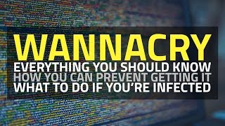 WannaCry Ransomware  What It Is How to Avoid It What to Do if Infected [upl. by Ahseit]