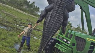 7 crocodilos GIGANTES que assustam qualquer pessoa [upl. by Ideih]