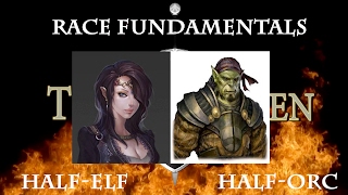 5e Fundamentals  Races HalfElf and HalfOrc InDepth [upl. by Ahcurb]