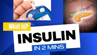 Insulin  How insulin works in 2mins [upl. by Center]