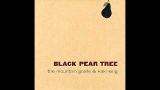 Black Pear Tree  The Mountain Goats and Kaki King [upl. by Ahtelrac]