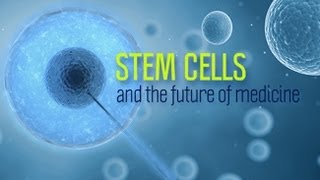 Stem Cells and the Future of Medicine  Research on Aging [upl. by Athal]