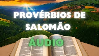 PROVÉRBIOS DE SALOMÃO 15 16 17 18 19 20 E 21 AÚDIO BÍBLIA FALADA [upl. by Tristis]