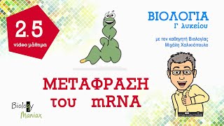 15 Μετάφραση του mRNA 5 2ο κεφ  Βιολογία Γ λυκείου [upl. by Oetsira182]