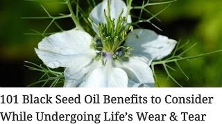 101 Black Seed Oil Benefits to Consider While Undergoing Life’s Wear amp Tear [upl. by Mendoza]